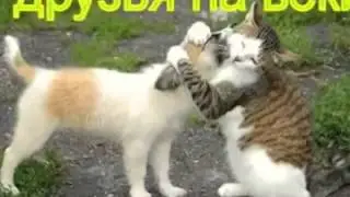 Друзьям с любовью
