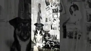 17 сентября 1922 года  В Москве состоялся первый радиоконцерт