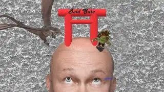 Bald gate