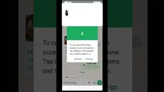 Allow Apps to Use Microphone