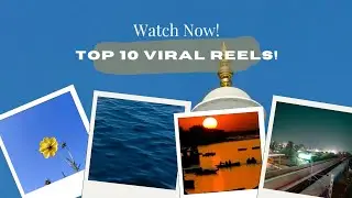 Best of My Instagram Reels | Top 10 Highlights