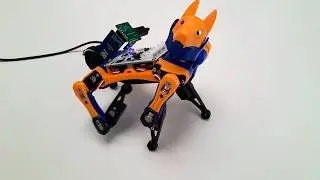 Mom is surprised by a robot dog singing her birthday | Petoicamp