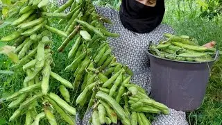 A girl from rural Algeria harvests organic beans and stores them for an entire year