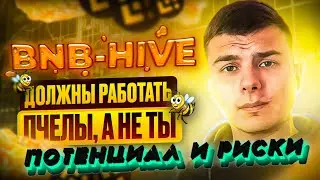 BNB HIVE ПОТЕНЦИАЛ И РИСКИ