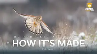 De Perfecte Actie Shot met Bob Ensink | How It's Made | Zoom.nl
