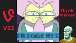 Dank Memes Vine Compilation V22