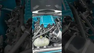 Pick your poison 🔥 #Shorts #Mustang #racecar #shortvideos #shortvideo #shortsyoutube #youtubeviral
