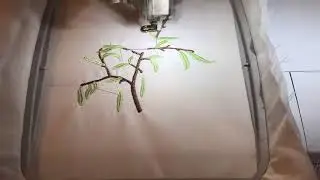 Embroidering Plant Study (Embroidery Design Digitizing)