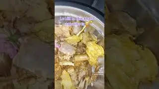 Cat comedy🙏😂😂😂😂