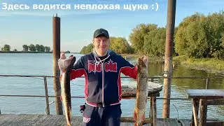 Много щуки - рыбалка 2020 года. Рай рыбака - это Астрахань!
