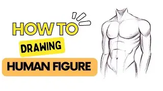 Simple Tutorial on How to draw Upper Body Male Easy for Beginners | How to draw Bodies Human Figure