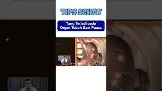 Yang terjadi pada Organ Tubuh Saat Puasa