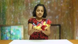 Isha's Cafe :: Birds