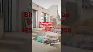 Abbaa biyaa tahaa dafaa