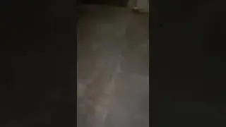 Uzma Khan Viral Video