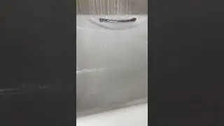 Теперь жизни таксы не позавидуешь🤓 