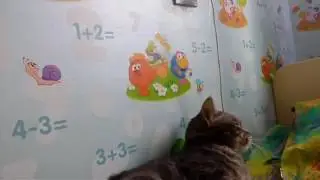 Рогатый кот