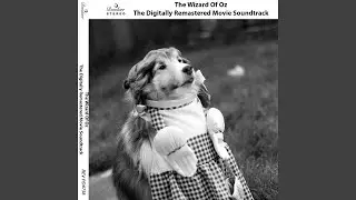 Ding-Dong! the Witch Is Dead