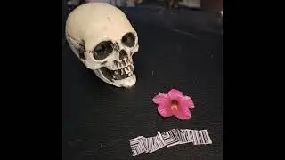 vcrsaliva - Joeyy - Mr. Me Too - Pandemix 2020