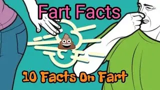 fart facts / facts on fart / 10 facts on fart 💩😂
