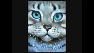 Top 10 Saddest Warrior Cats Deaths *SPOILER ALERT*