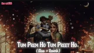 Tum Prem Ho Tum Preet Ho || RADHA RANI| RETRO FREEZ LOFI REMIX | #best #chill#bollywood