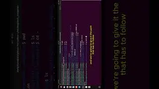 How to copy files in the linux terminal 