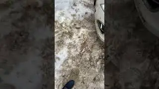 Одна из причин переезда Александра с Севера на Юг России