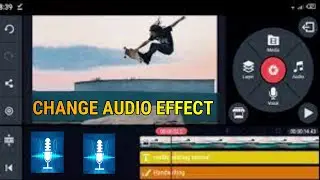 How to Change Voice or Audio Effect in KineMaster |Change Voice in KineMaster|