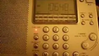 Yankee Hotel Foxtrot - Mossad