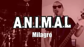 Milagro - A.N.I.M.A.L Cover (feat. Flako Drums)