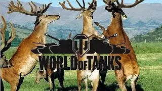 как тащат американцы в WOT , прикол world of tanks