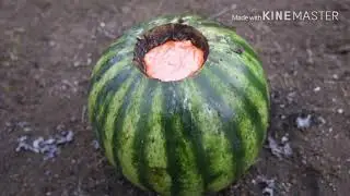 EXPERIMENT: LAVA vs ICE |POOL |WATERMELON | FISH | EGGS | SkyBek