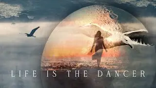Life is the Dancer - Leonardo De Donno