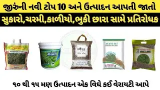 જીરુંની ટોપ 10 નવી વેરાયટી/jiru ni top 10 variety/jira sukaro #cumin  top 10 variety@Kheti_walee