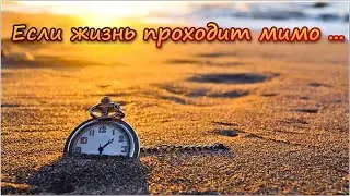 Если жизнь проходит мимо, то потерян смысл жизни