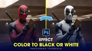 Photoshop Tutorials 2024 - How to Change Any Color to White in a Photo 