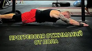 ПРОГРЕССИЯ ОТЖИМАНИЙ. От простых до невозможных!