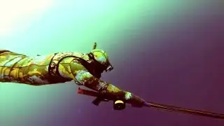 Freediving 81ft Dive. Goliath Grouper