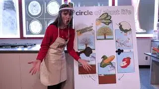 Seed Matching with Carnegie Science Center