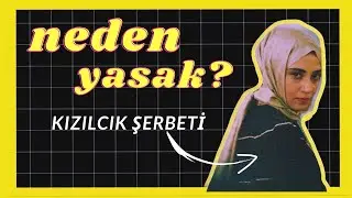 Kızılcık Şerbeti Yayın Yasağı, RTÜK ve Tepkiler