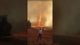 Coisas que os humanos não foram feitos para ver Part:32😨⚠️#shorts