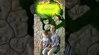Отзывы о детской стоматологической клинике Джунгли в г. Ростов-на-Дону.