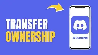 How to Transfer Ownership on Discord