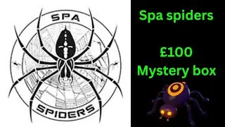 Unboxing spiders. // mystery box from spa spiders