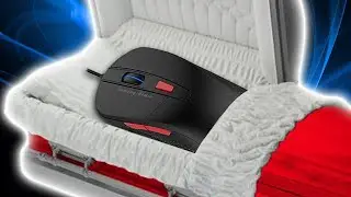 The Tragic Loss of My Gaming Mouse