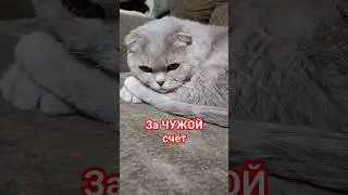 настроение такое🎄