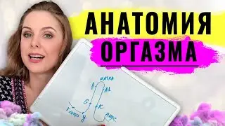 Анатомия оргазма: основные эрогенные точки и зоны женского влагалища, виды и время  их стимуляции