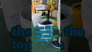 #howto #bucketgarden #patiogarden #colorado