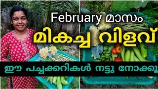 ഫെബ്രുവരി മാസം ഈ പച്ചക്കറികൾ നാട്ടുനോക്കൂ|February krishi calander 